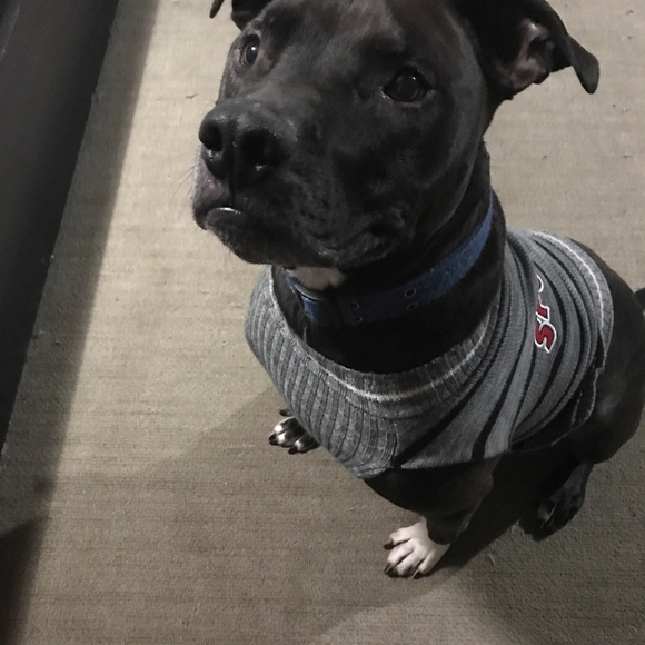 Tyson - Picture 3 of 7